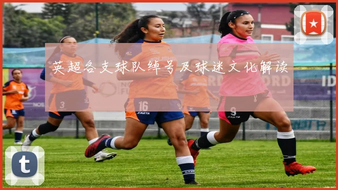 英超各支球队绰号及球迷文化解读