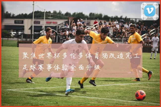 聚焦世界杯多伦多体育场改造完工足球赛事体验全面升级