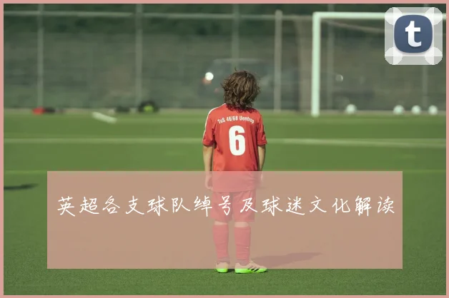 英超各支球队绰号及球迷文化解读