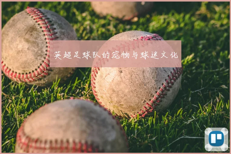 英超足球队的宠物与球迷文化