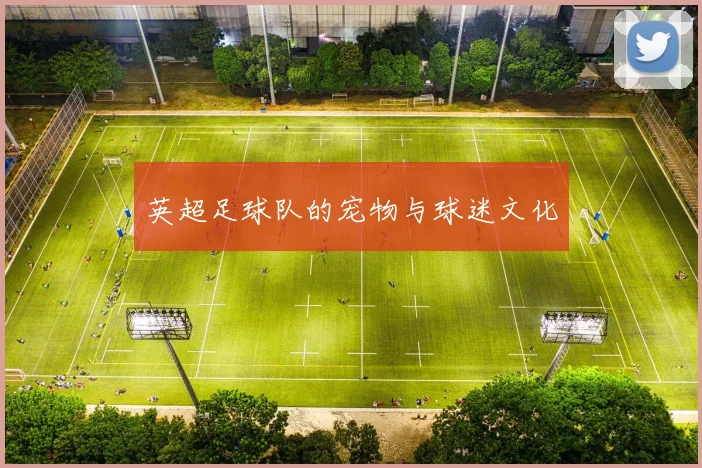 英超足球队的宠物与球迷文化