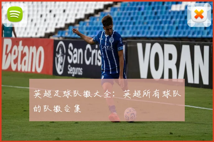 英超足球队徽大全：英超所有球队的队徽合集