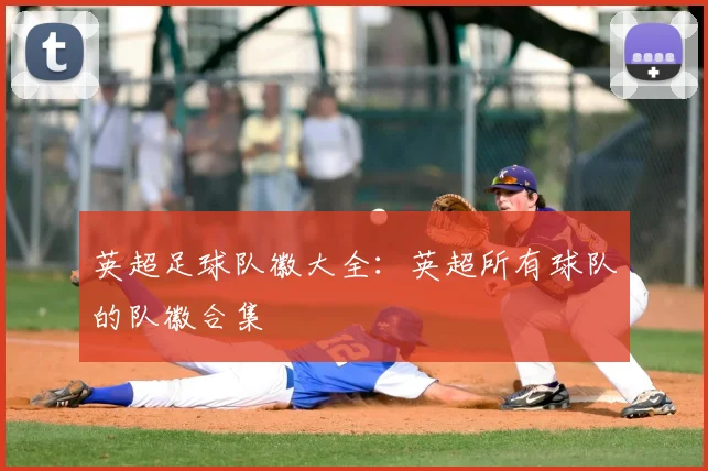 英超足球队徽大全：英超所有球队的队徽合集