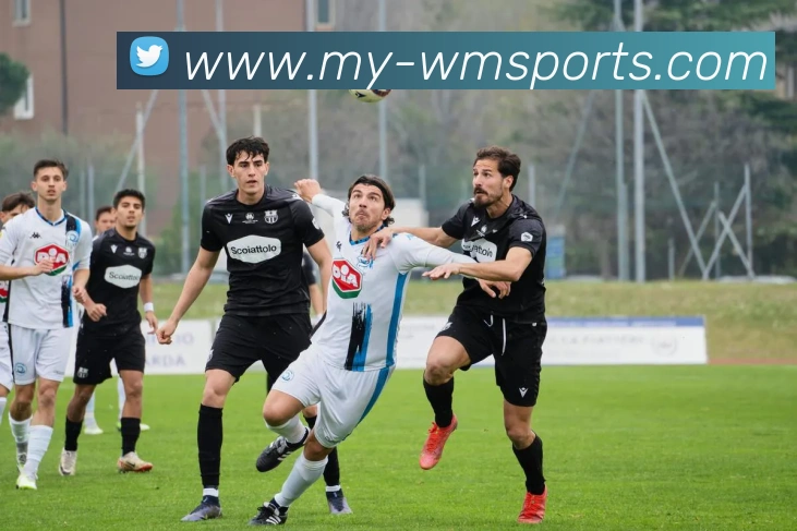 完美体育官网APP 封面图